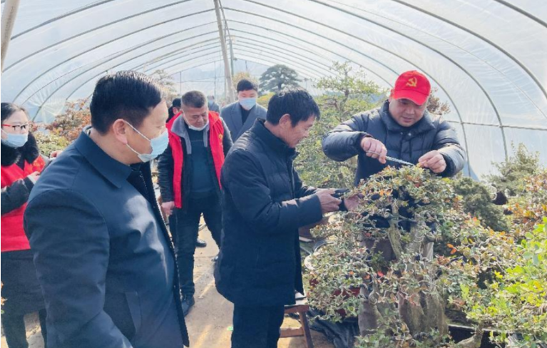 沭阳县扎下镇分水社区：盆景园里学本领 乡村振兴有了“领头雁”