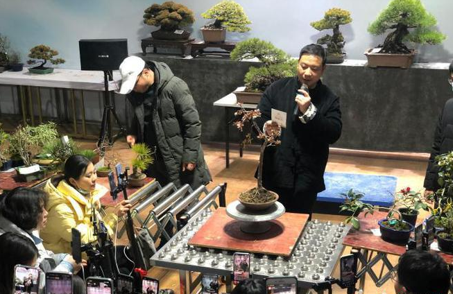 江苏沭阳：“花乡”启动“云上花市”