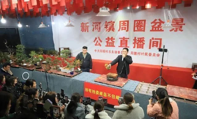 沭阳新河镇:“新村干”公益直播绘就乡村振兴新图景