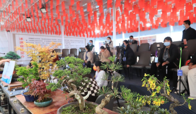 沭阳：奏响乡村振兴最强音