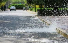 沭阳章集街道：预防杨柳絮火灾于未燃