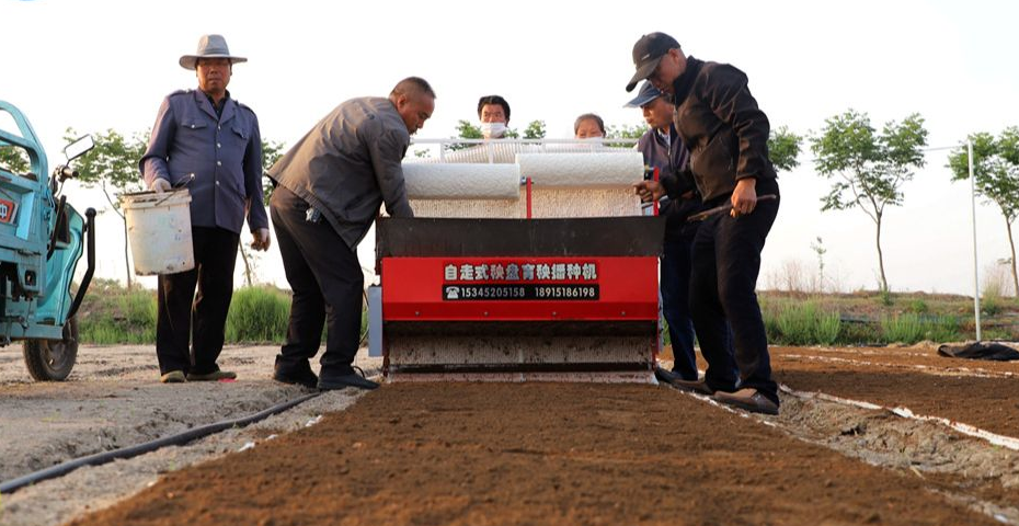 沭阳县刘集镇：智能化育秧助力粮食丰产增收