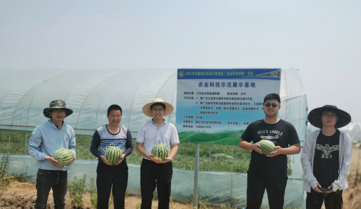 沭阳潼阳镇：“潼阳西瓜”获省“好西（甜）瓜”金奖