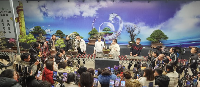 小盆景栽出“幸福路”