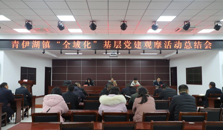 沭阳县青伊湖镇组织开展“全域化”基层党建观摩评比活动
