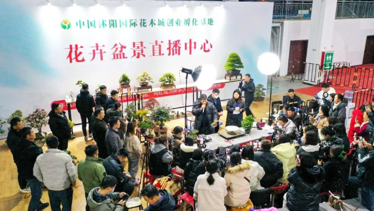 沭阳入选省级示范县培育名单！全市唯一！