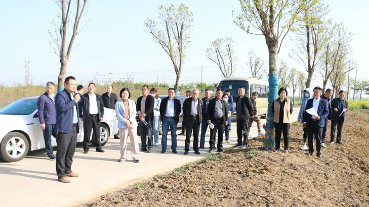 沭阳县陇集镇：以“观摩评比”促人居环境整治提升