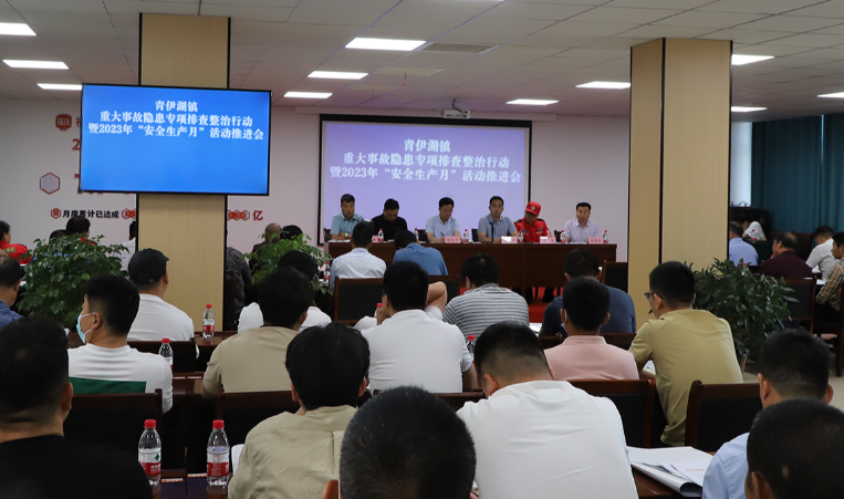沭阳县青伊湖镇：排查整治重大事故隐患 扎实推进“安全生产月”