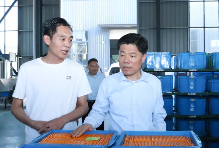 沭阳这个乡镇要成区域支点城镇了