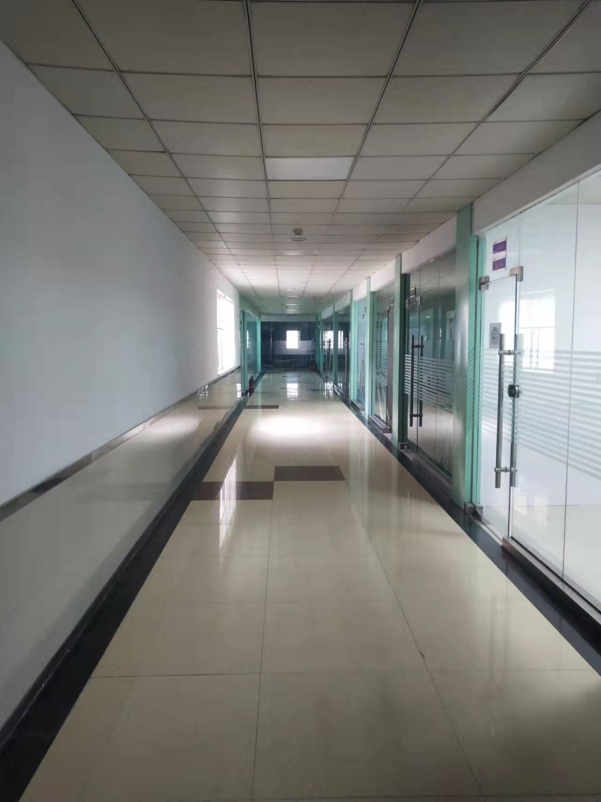 费尔曼公司2.jpg