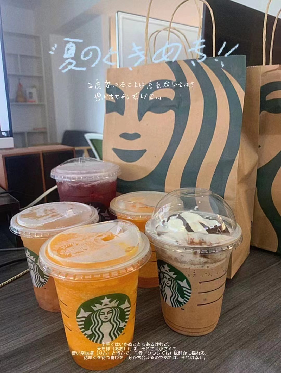 森度2.jpg